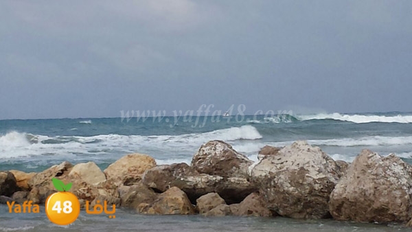 iste2naf ba7th jotha (2).JPG